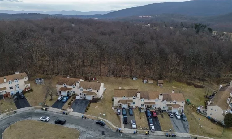 Aerial view with a mountain view and a view of trees