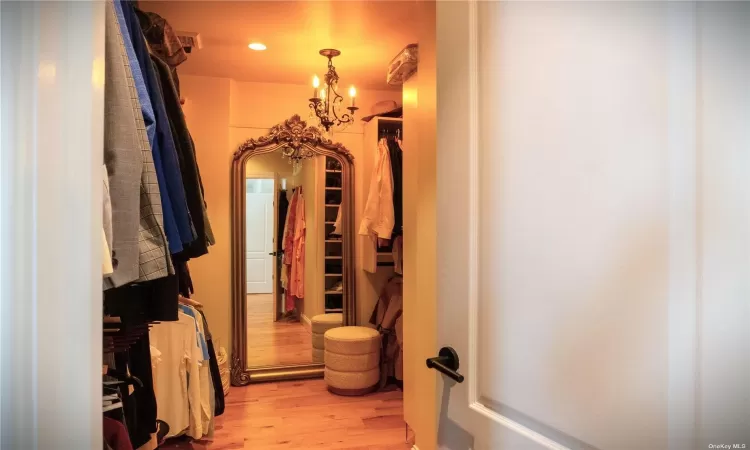 Large Walking Closet with Partial Attic