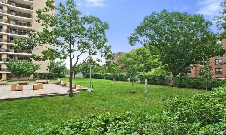 View of yard with a patio area