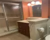 Lower Level Full bath