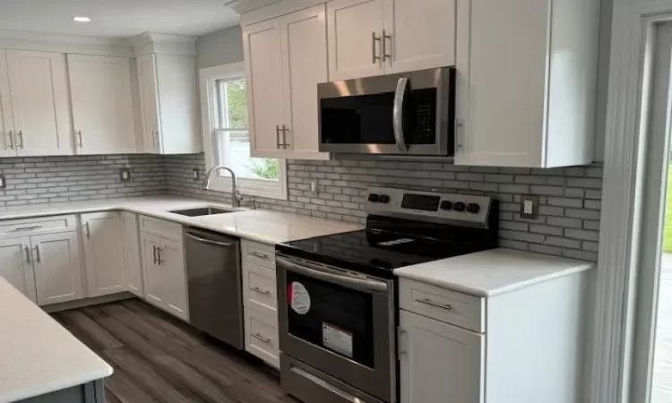 Kitchen with stainless steel appliances, decorative backsplash, dark wood-type flooring, white cabinetry, and a sink