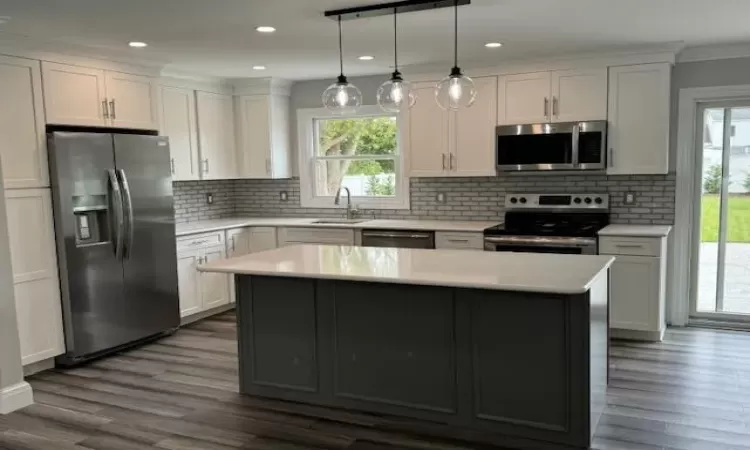 Kitchen featuring stainless steel appliances, dark wood finished floors, a sink, and light countertops