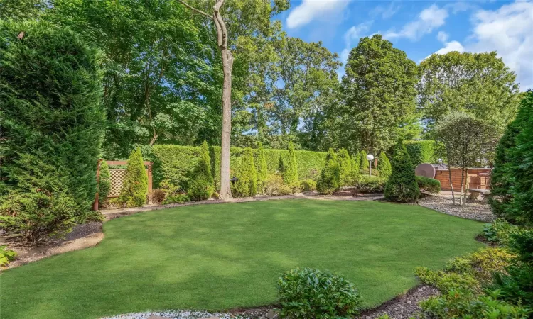 Grass area. Room for playground.