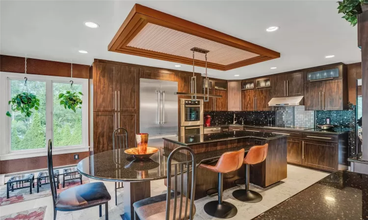 Kitchen featuring under cabinet range hood, stainless steel appliances, a kitchen island, decorative backsplash, and a tray ceiling