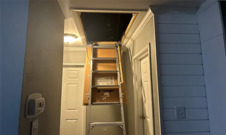 New attic door and stairs