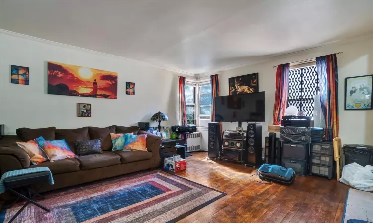 Living area with crown molding, hardwood / wood-style flooring, and radiator