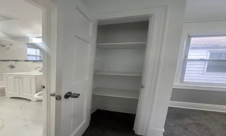 Closet with a sink