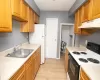 Kitchen with under cabinet range hood, electric range, light countertops, and a sink