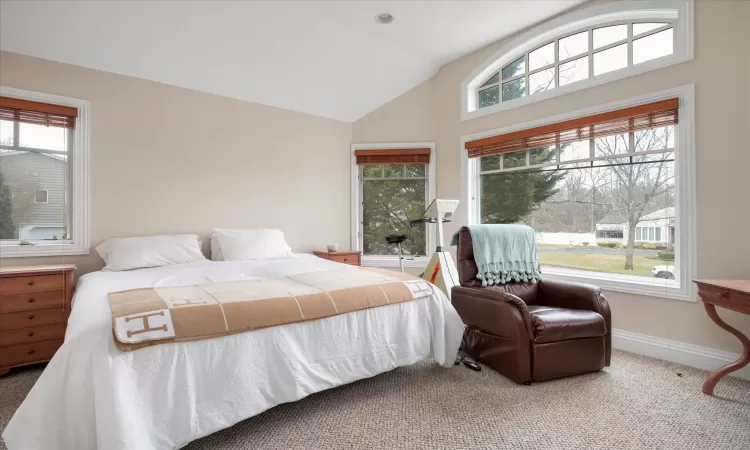 Bedroom featuring carpet flooring, lofted ceiling, and multiple windows