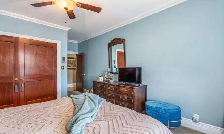 Bedroom with ceiling fan, baseboards, a closet, and ornamental molding