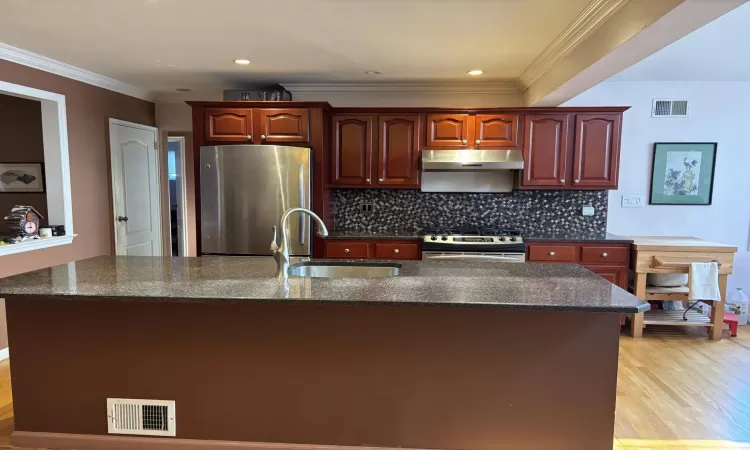 Kitchen featuring visible vents, under cabinet range hood, decorative backsplash, stainless steel appliances, and a sink