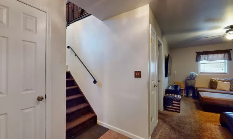 Staircase with baseboards, a ceiling fan, and carpet