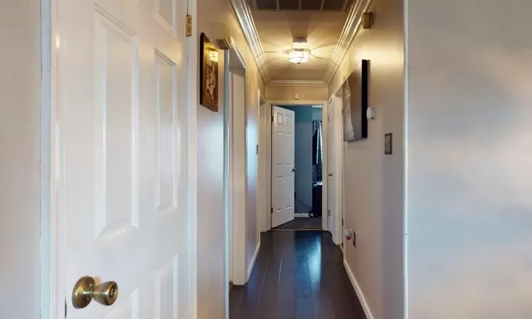 Hallway featuring dark wood-style floors, visible vents, crown molding, and baseboards