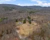 Bird's eye view featuring a mountain view and a forest view