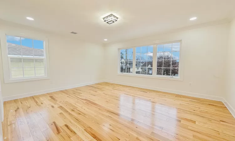 Unfurnished room featuring ornamental molding, light hardwood / wood-style flooring, and a healthy amount of sunlight