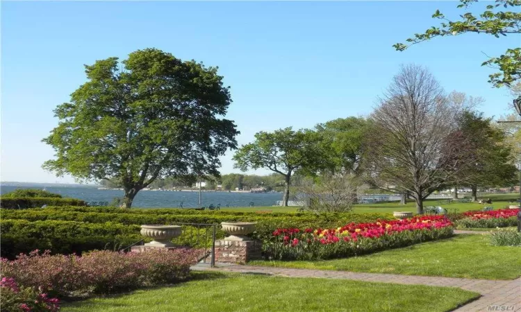 View of property's community featuring a lawn