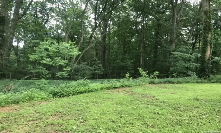 View of yard featuring a forest view