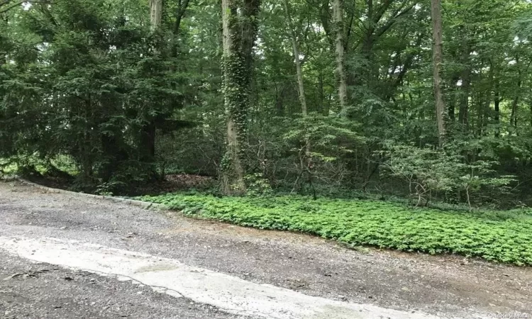 View of street featuring a wooded view