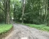 View of road featuring a forest view